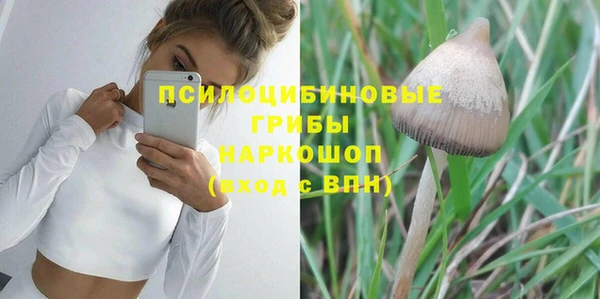 скорость mdpv Белокуриха
